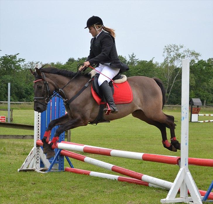 HJRK pinsestævne :) billede 29