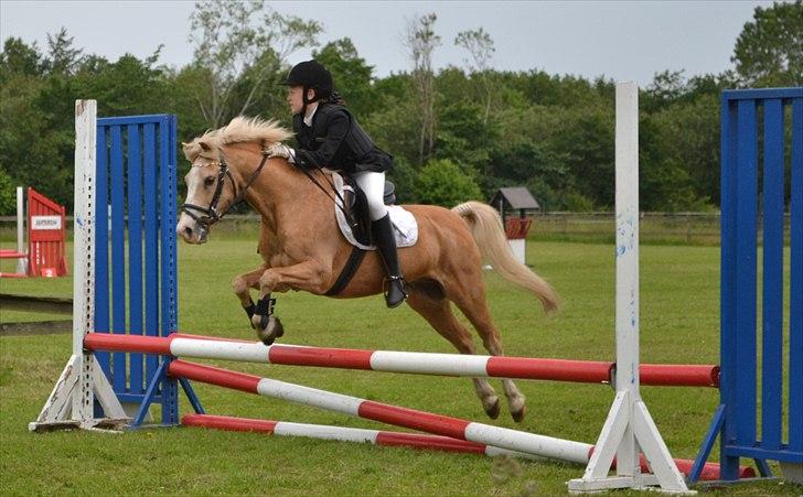 HJRK pinsestævne :) billede 31