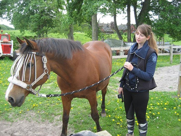 {{currentPhoto.altText}} billede {{currentPhoto.number}}