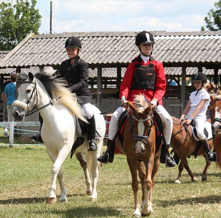 Det fynske dyrskue 2011, Team Kærholm  billede 12