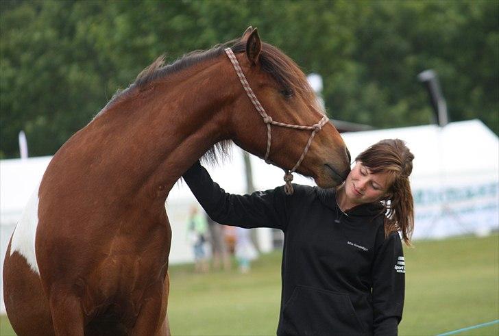 Det fynske dyrskue 2011, Team Kærholm  billede 38