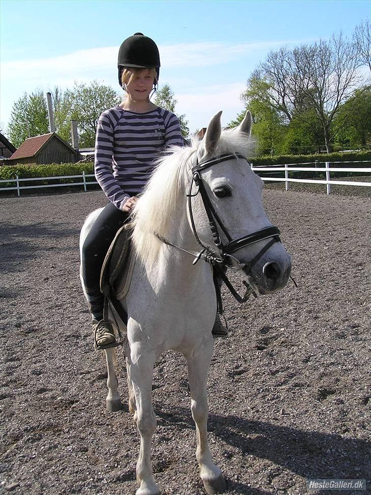 Linette Jessica Christensen - Julle og jeg, da jeg var omkring de 10 eller 11 :-P  billede 12