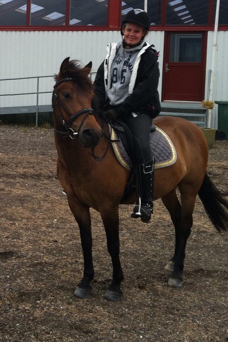 Min perfekte pony :-* - Dressur med mor :-*
- *NYE TRETORN STØVLER* :-D billede 10