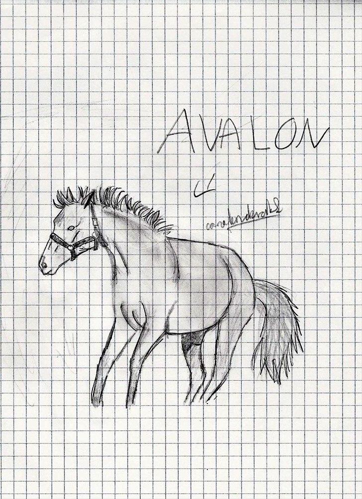 Flere tegninger .. - Tegnet i 2009 eller 2010 billede 2