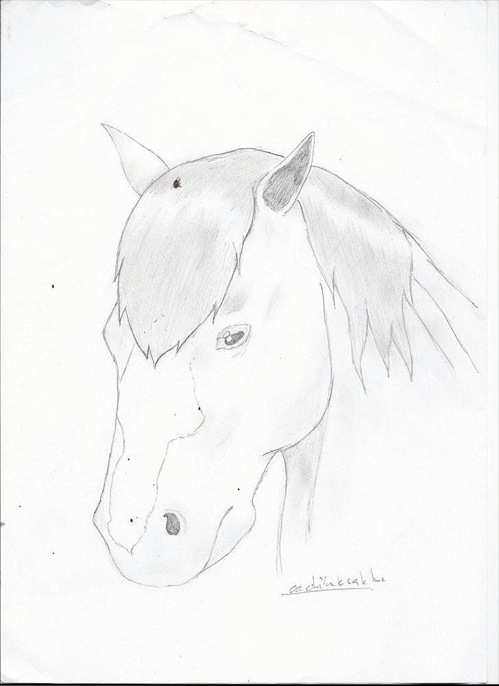 Flere tegninger .. - Tegnet 2010, mener det var i skolen.. billede 3