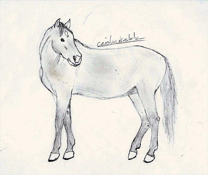 Flere tegninger .. - 2009 el. 2010 billede 5