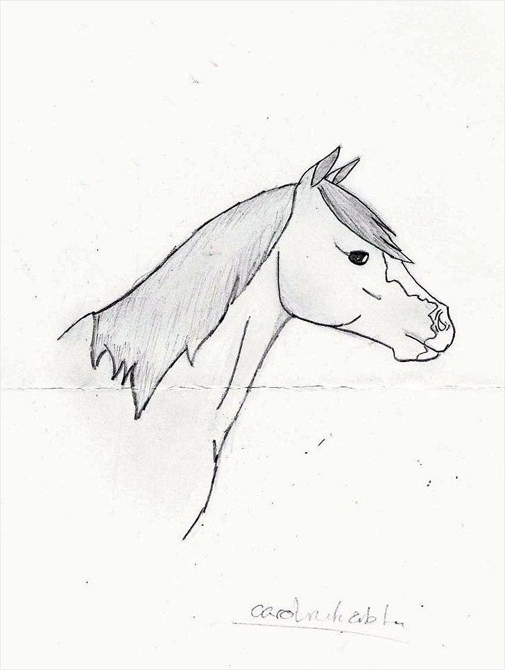 Flere tegninger .. - Tegnet i en time i skolen .. billede 8