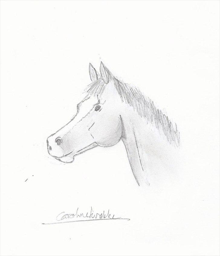 Flere tegninger .. - Tegning af Sheik, min tidligere pony ..  billede 9