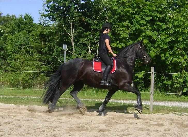 Spring d. 21 juni billede 2