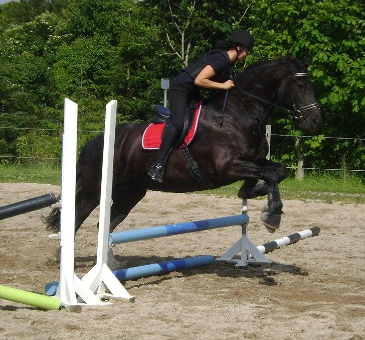 Spring d. 21 juni billede 1