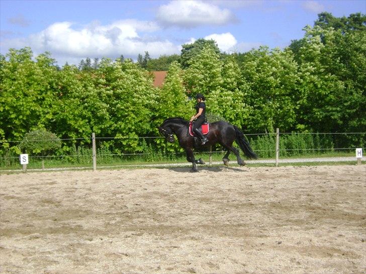 Spring d. 21 juni billede 7