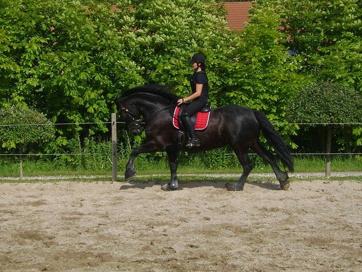 Spring d. 21 juni billede 8