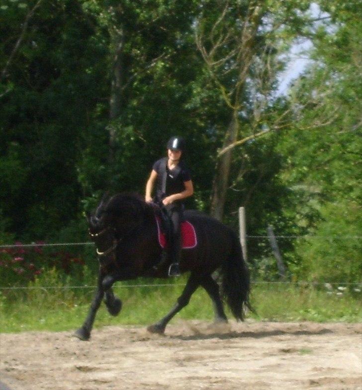 Spring d. 21 juni billede 9