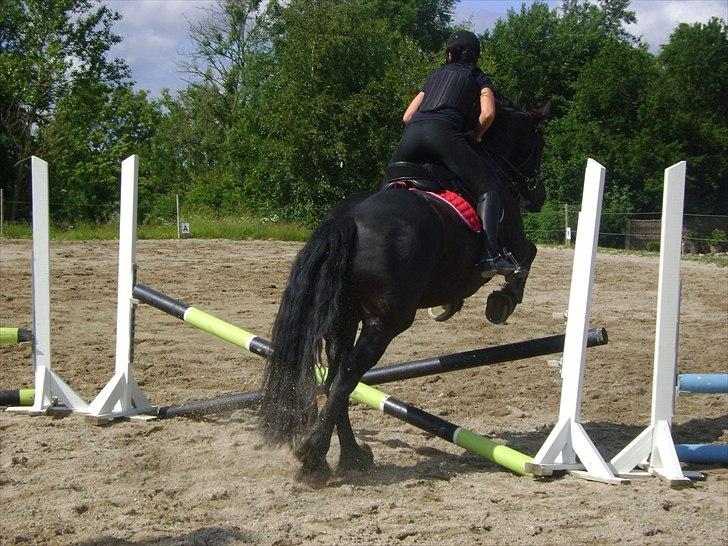 Spring d. 21 juni billede 11