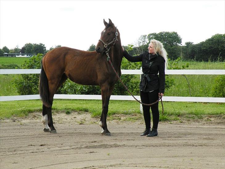 {{currentPhoto.altText}} billede {{currentPhoto.number}}