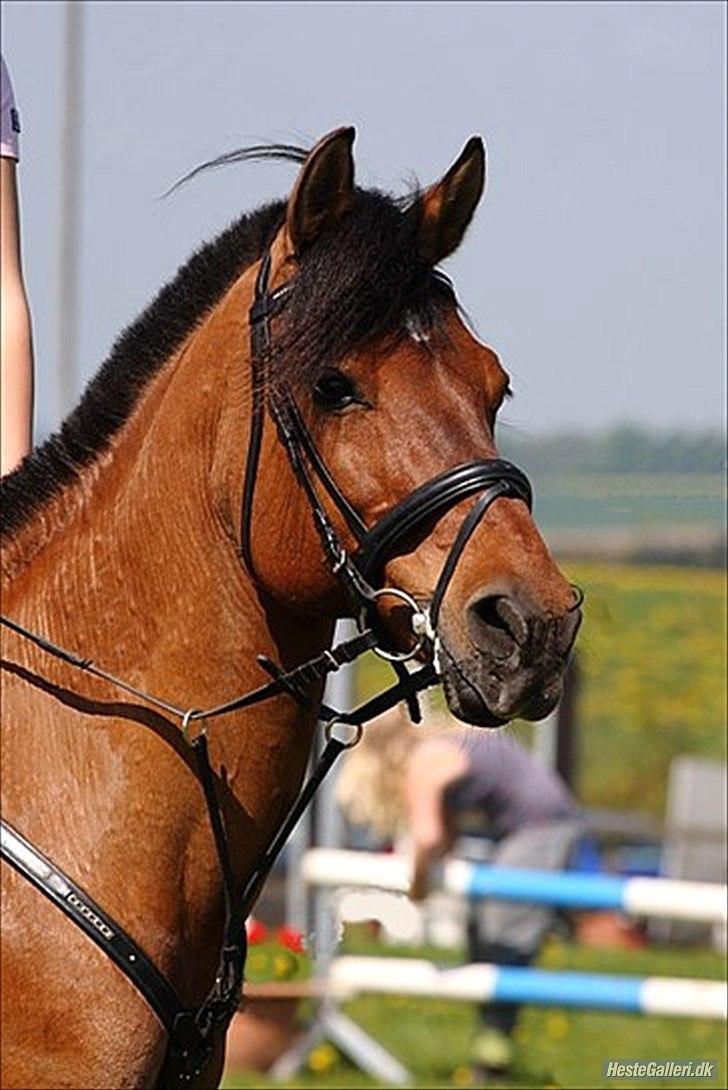 Tegninger :D   - Original billede :) - Codiack billede 327