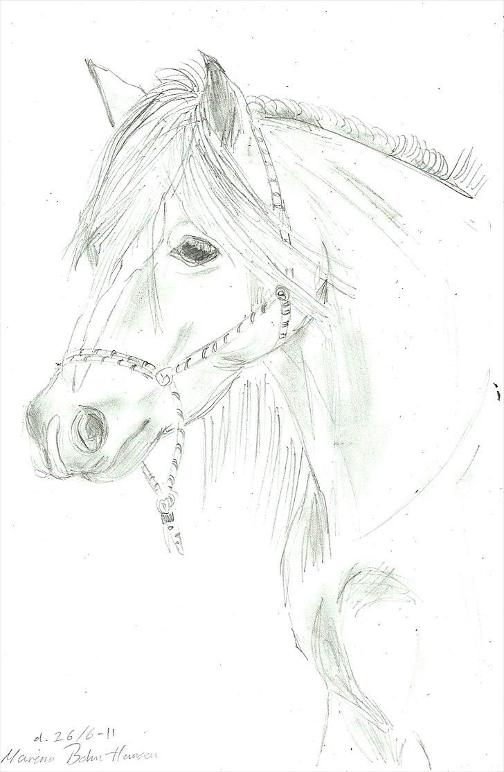 Tegninger :D   - Tegning til ©MLS :)
Tegnet søndag den. 26. juni 2011 billede 324