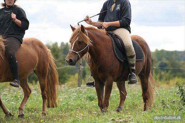 Tegninger :D   - Original billede :) - Foxie-Lady billede 325