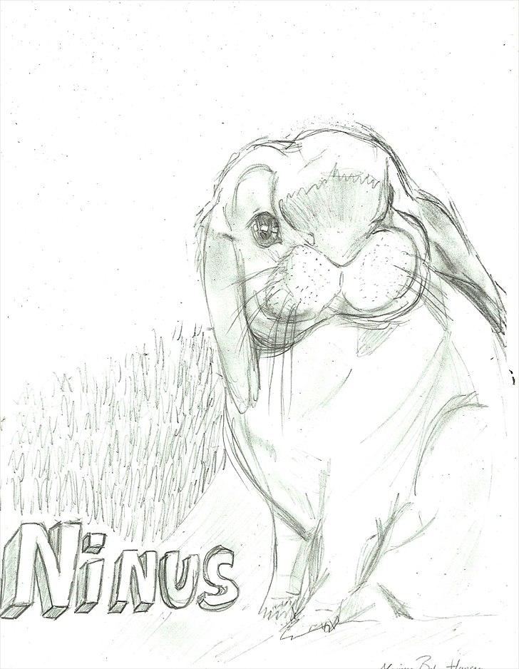 Tegninger :D   - Tegning til Stald - Ladehøj :)
Tegnet søndag den. 26. juni 2011 billede 322