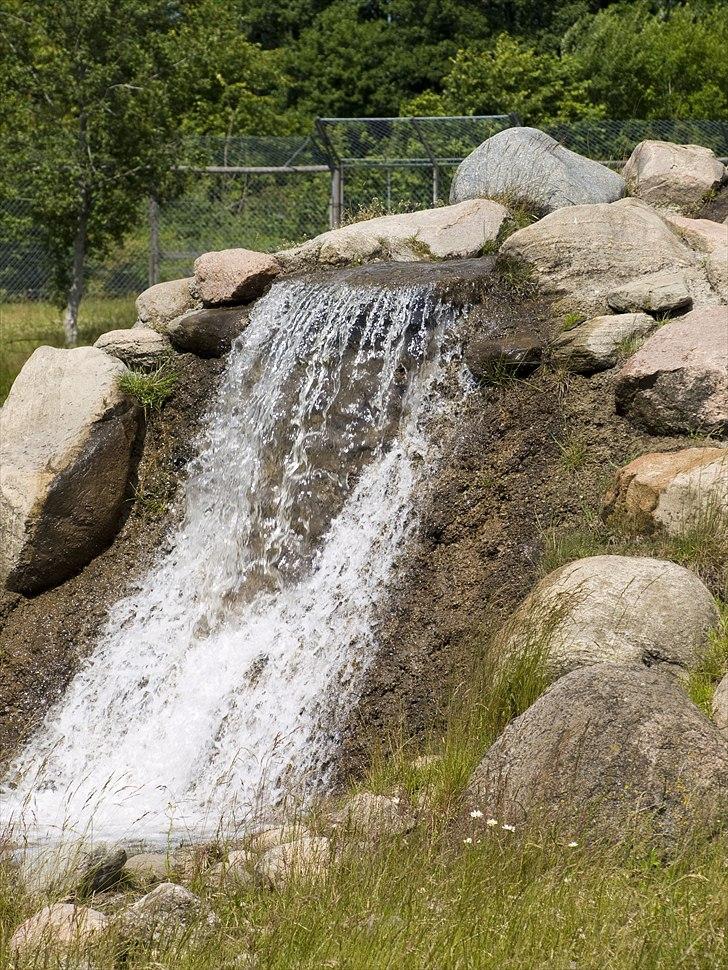 Tur i Skandinavisk Dyrepark og på Kaløvig Slotsruin billede 33
