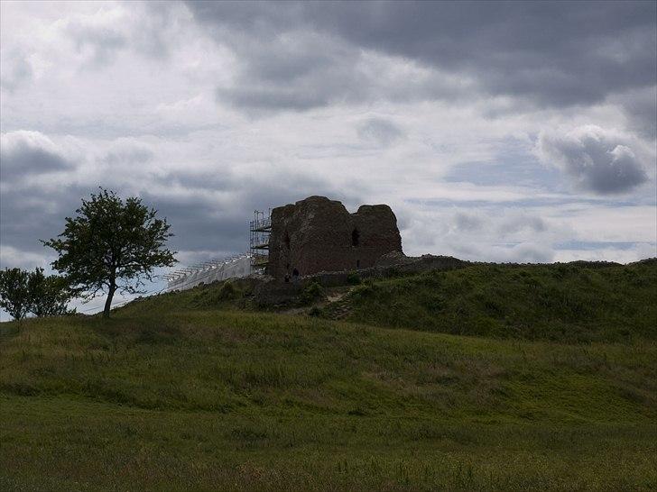 Tur i Skandinavisk Dyrepark og på Kaløvig Slotsruin billede 88