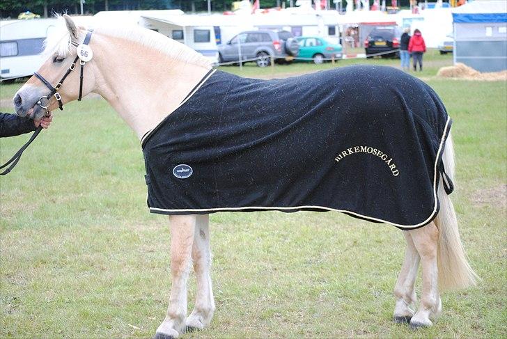 Når jeg leger fotograf billede 9