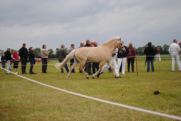 Når jeg leger fotograf billede 10