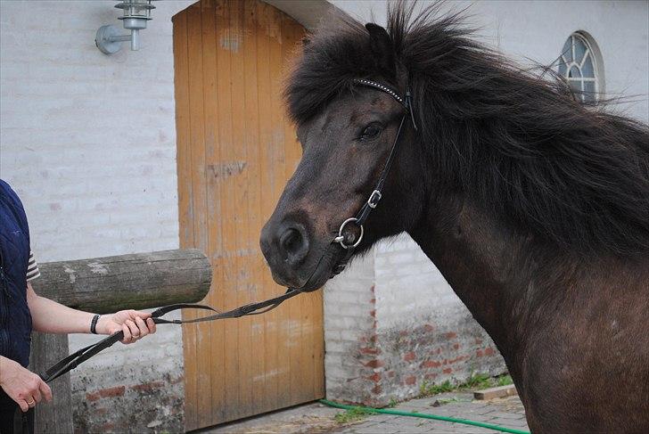 Når jeg leger fotograf billede 12