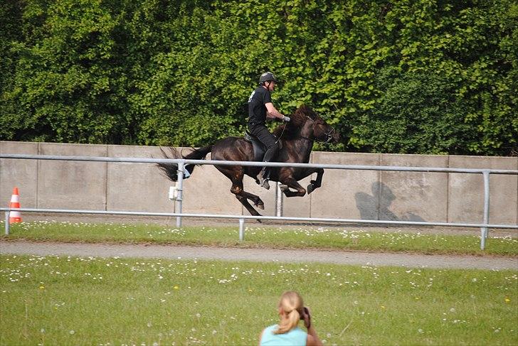 Når jeg leger fotograf billede 23