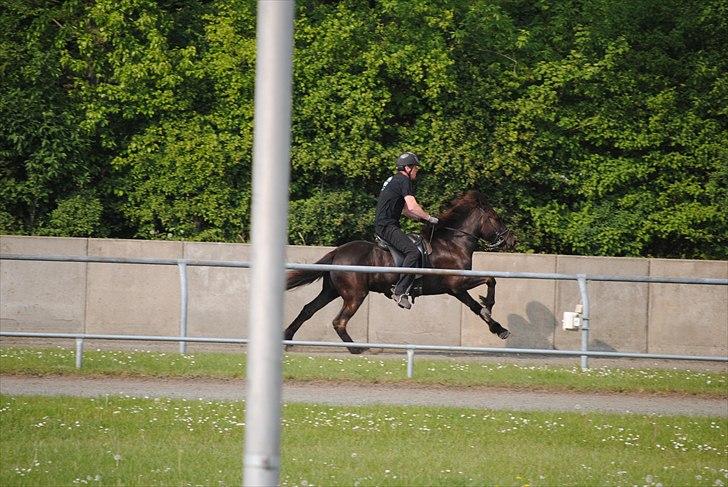Når jeg leger fotograf billede 24