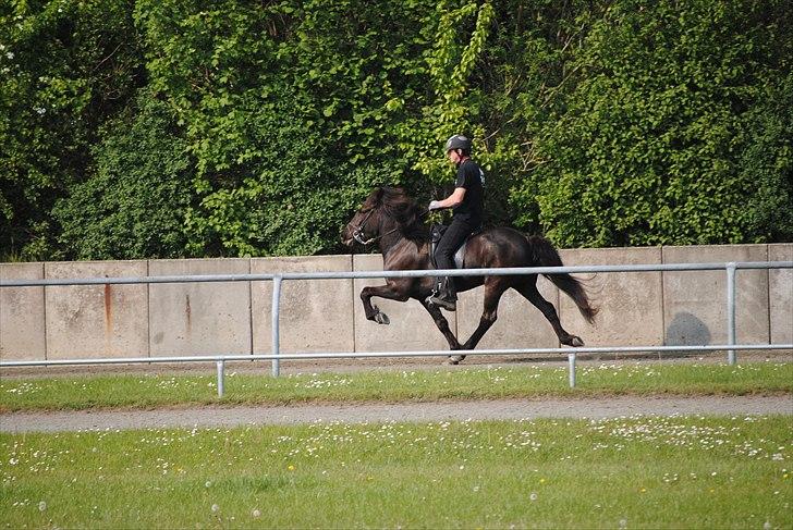 Når jeg leger fotograf billede 25
