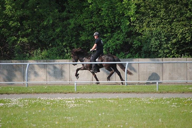 Når jeg leger fotograf billede 27