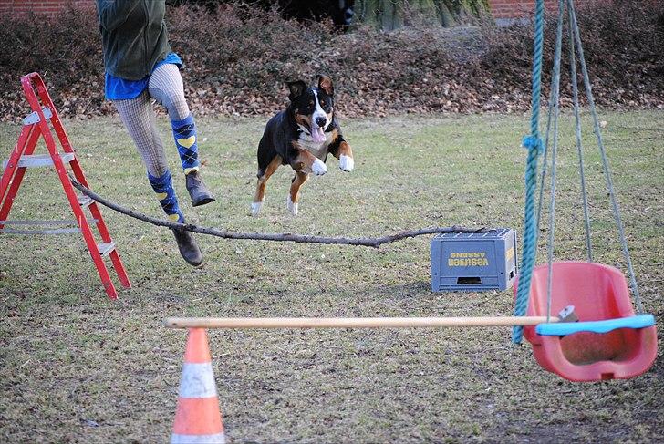 Når jeg leger fotograf billede 28