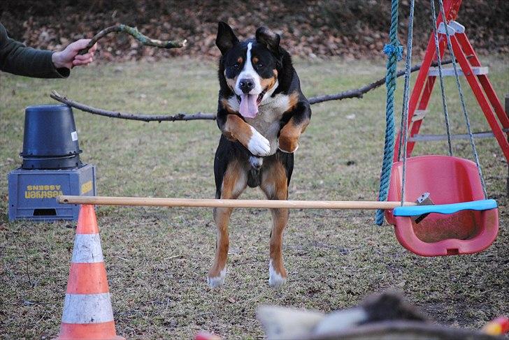 Når jeg leger fotograf billede 29