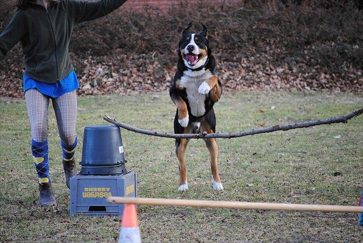 Når jeg leger fotograf billede 30