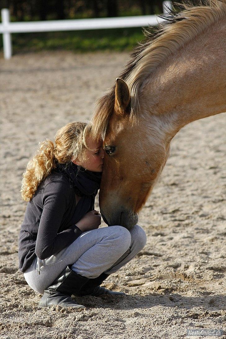 Tegninger :D   - Original billede - Odin og Signe :) billede 321