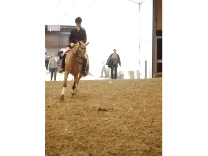 {{currentPhoto.altText}} billede {{currentPhoto.number}}