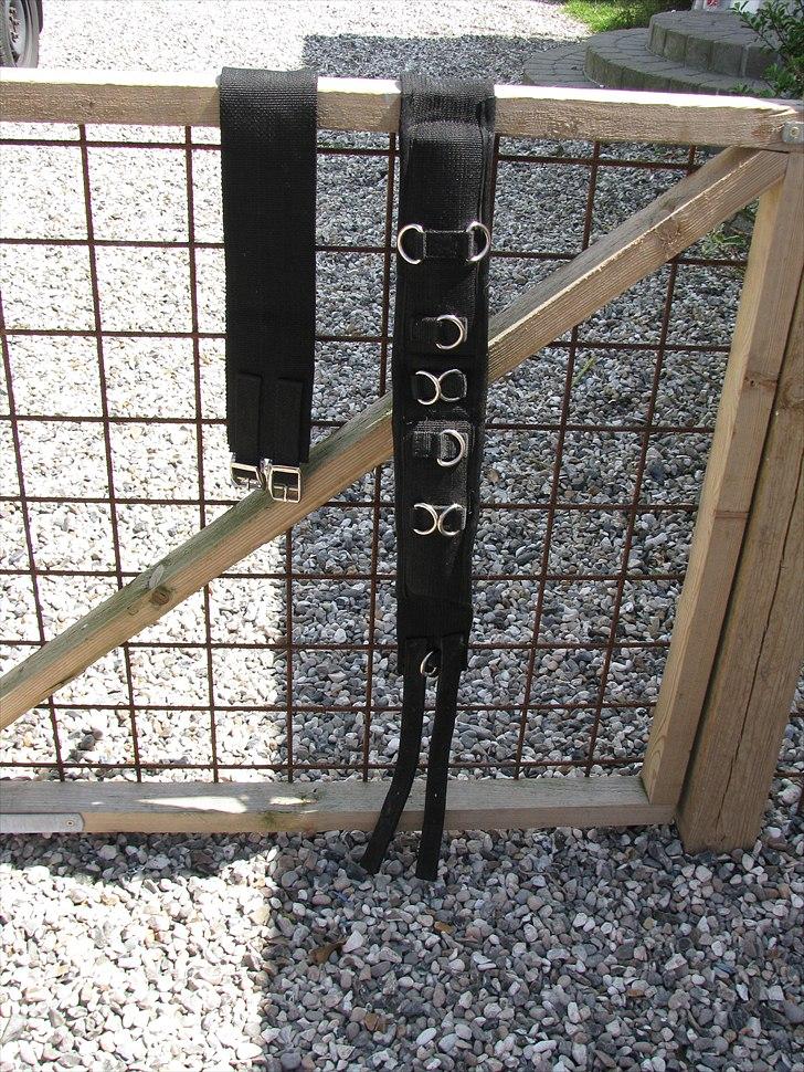 Mit udstyr til hestene. - Longegjord. billede 35