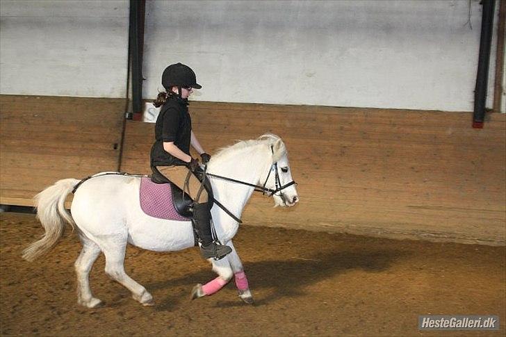 Dressurridning med my :) billede 1