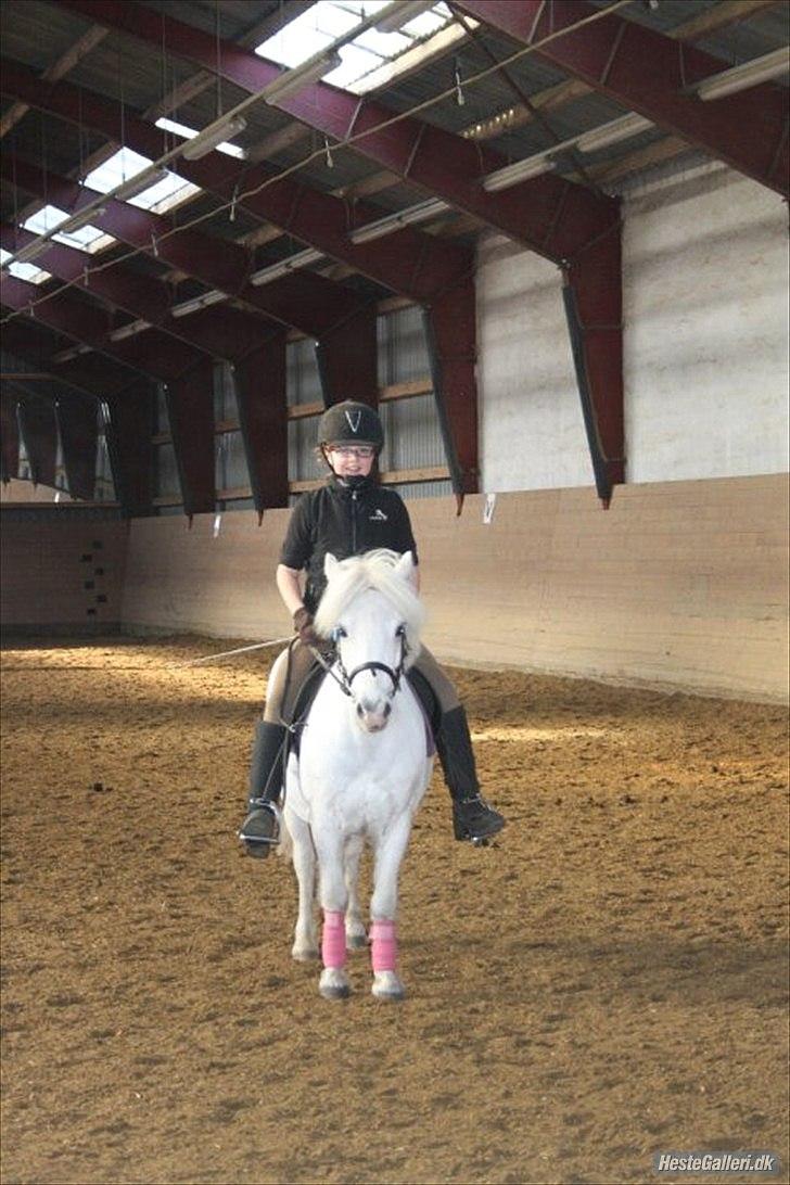 Dressurridning med my :) billede 2