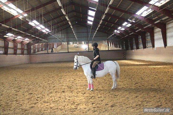Dressurridning med my :) billede 3