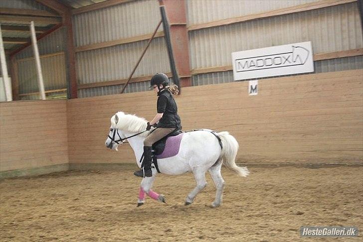 Dressurridning med my :) billede 4