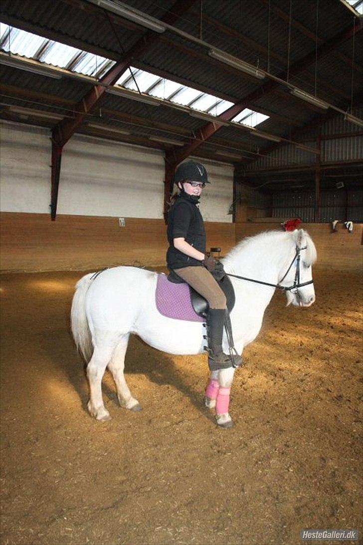 Dressurridning med my :) billede 5
