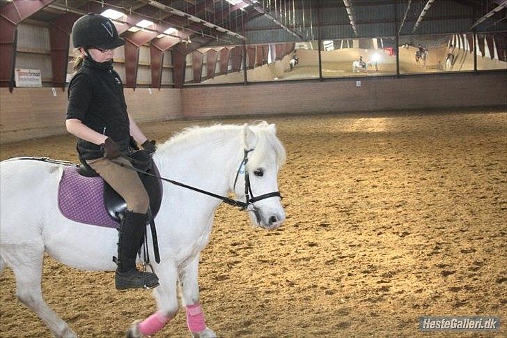 Dressurridning med my :) billede 6