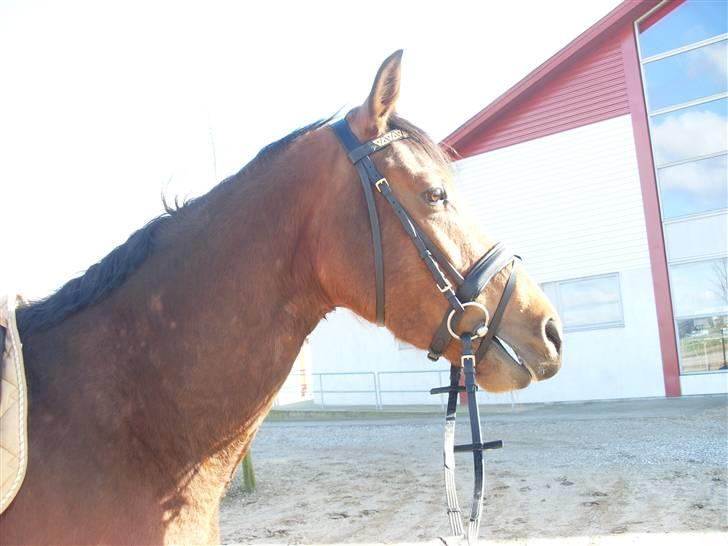  Min tid med Bansam <3 billede 68