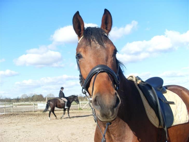  Min tid med Bansam <3 billede 69