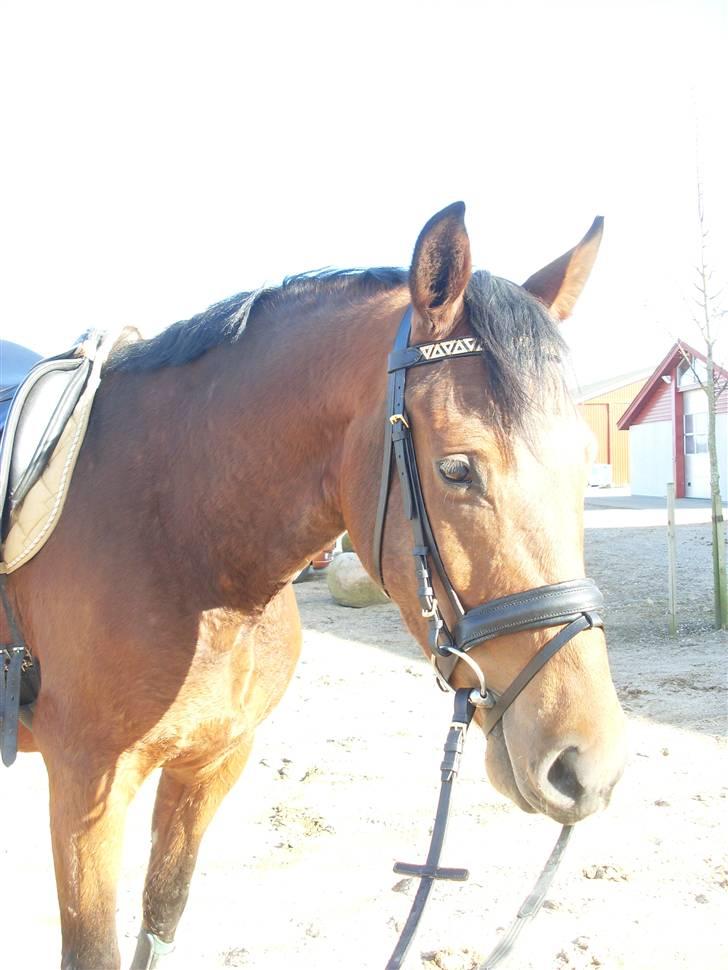  Min tid med Bansam <3 billede 70