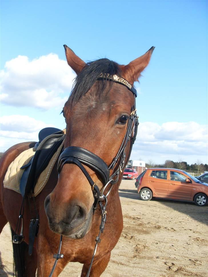  Min tid med Bansam <3 billede 71