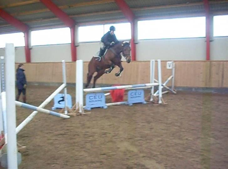  Min tid med Bansam <3 - Smukke bansam
kolding teknisk skole
dyrepasser linje med heste ;D billede 39