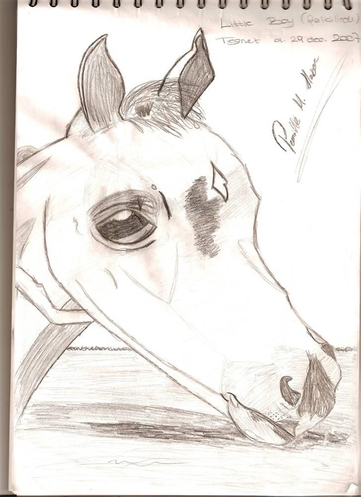 Mine tegninger - Little Boy 
føl billede

Tegnet d. 29 december 2007

lidt problemer med mulen (: billede 1